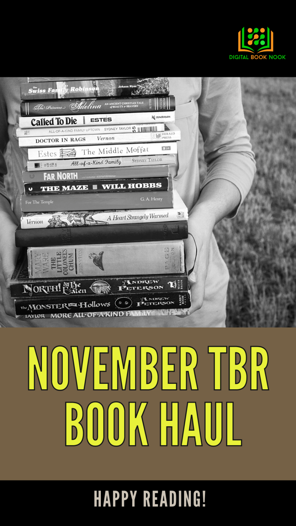 November TBR Book&nbsp;Haul